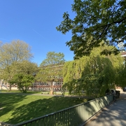 Frühling_2