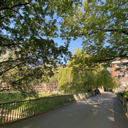 Frühling_5